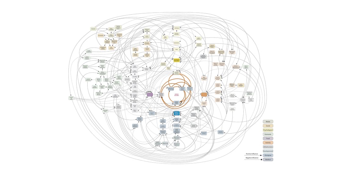 A large complicated diagram mapping the occurence of obesity in the United Kingdom.