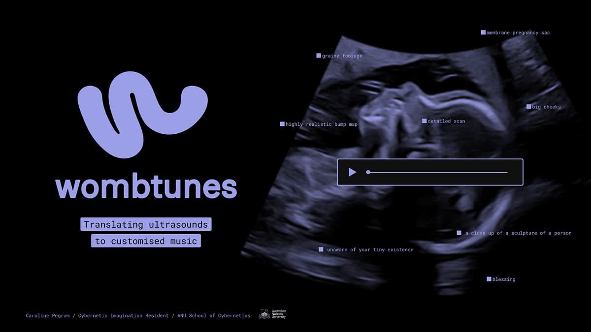 A poster used to advertise the presentation of WombTunes